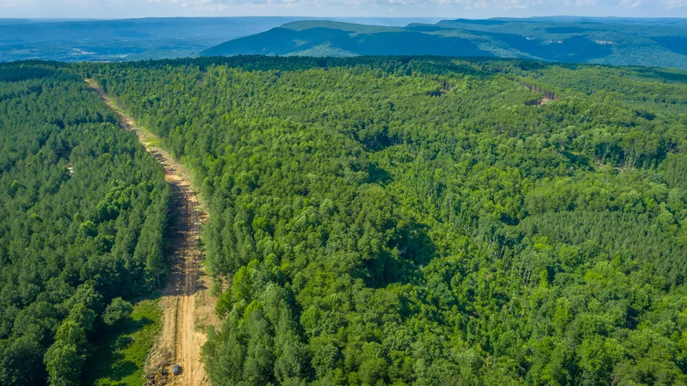 High Ground Road Guild, TN 37340