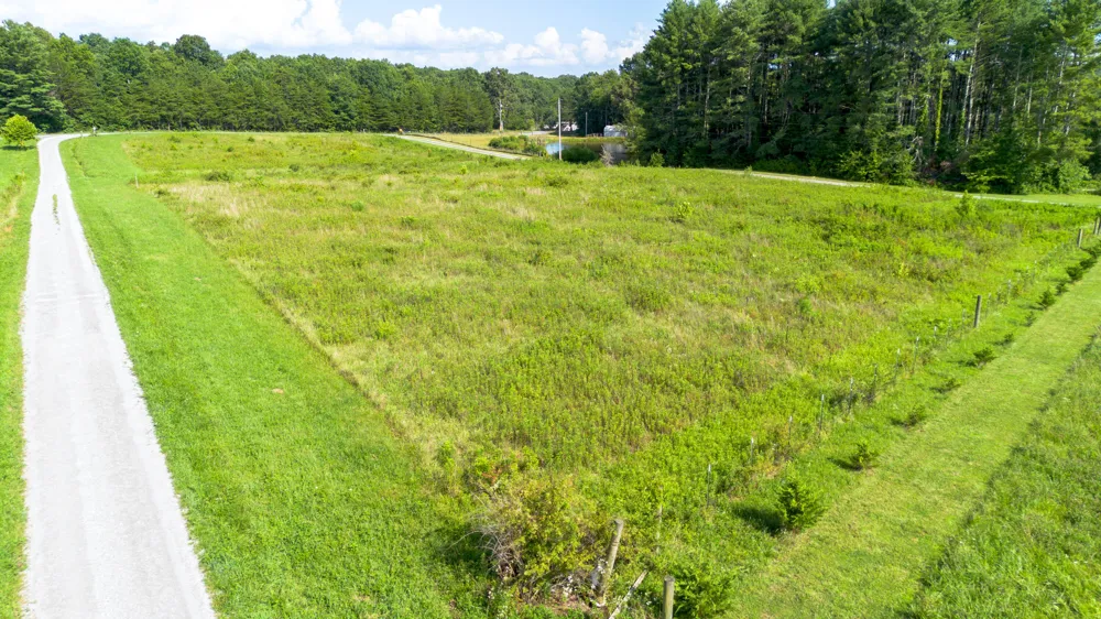Palmer Lake Road Graysville, TN 37338