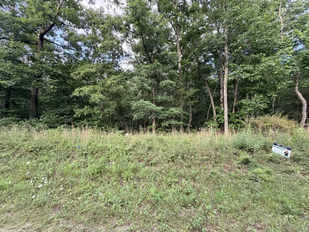 Horizon Drive Pikeville, TN 37367