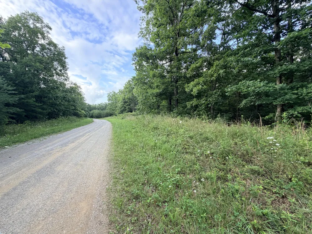 Horizon Drive Pikeville, TN 37367