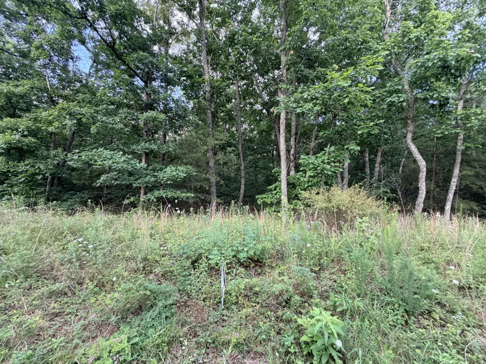 Horizon Drive Pikeville, TN 37367