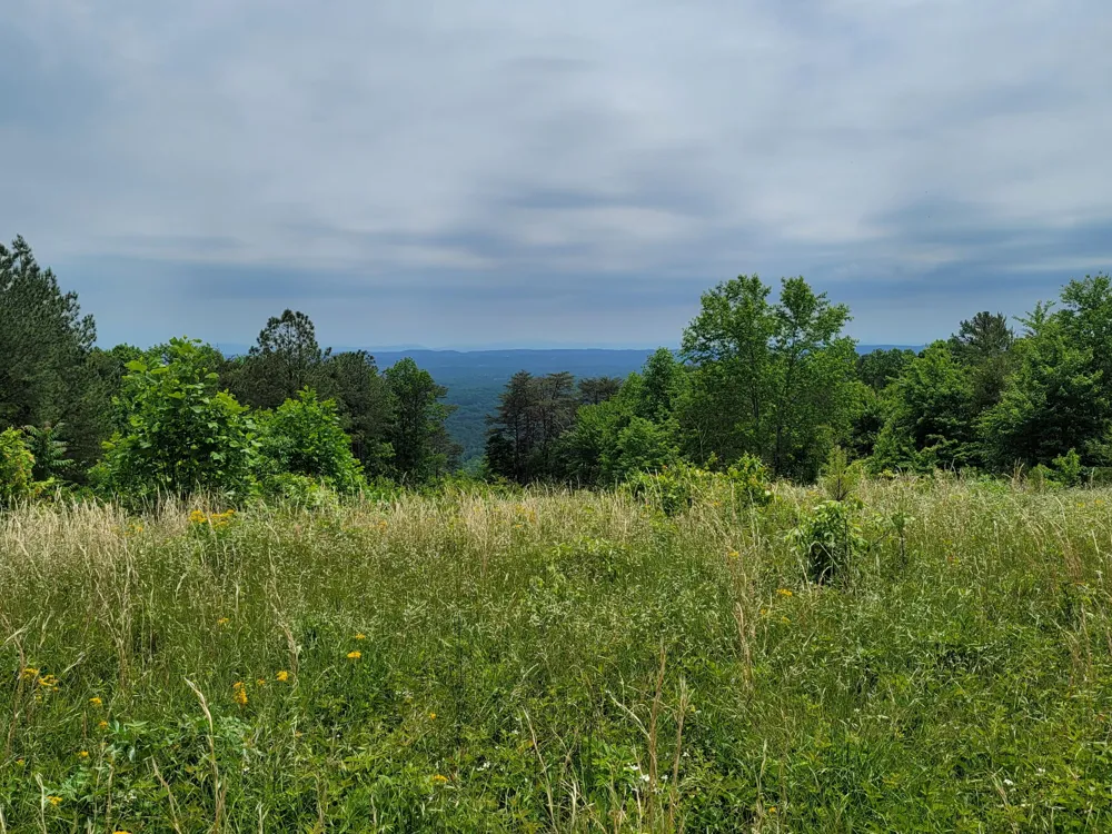 Endless View Soddy Daisy, TN 37379