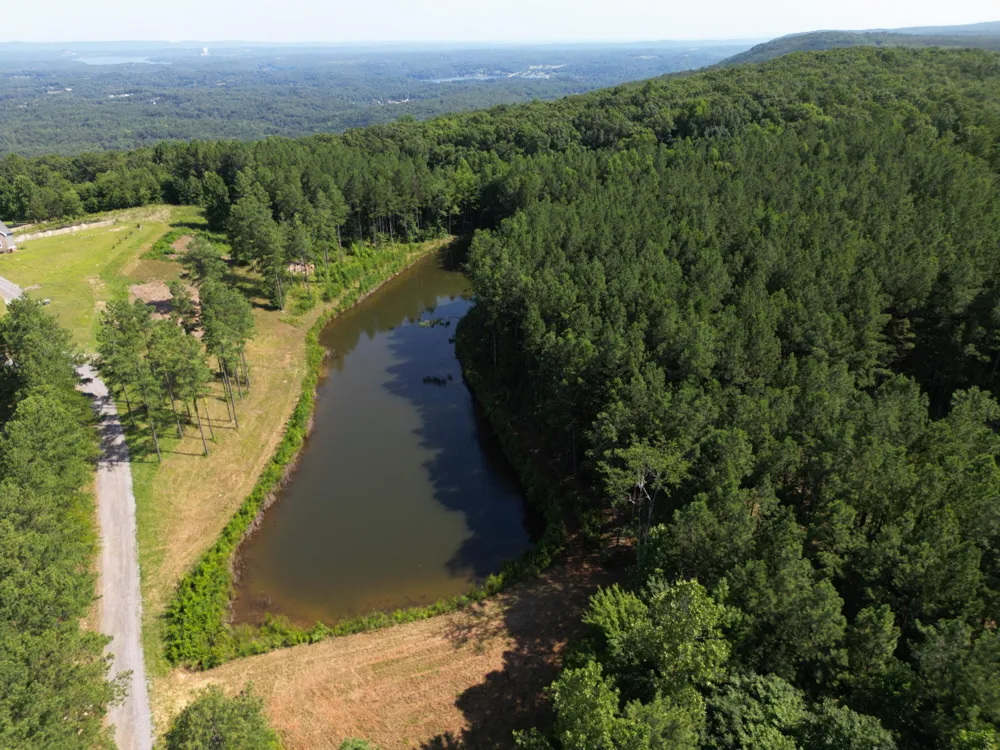Endless View Soddy Daisy, TN 37379