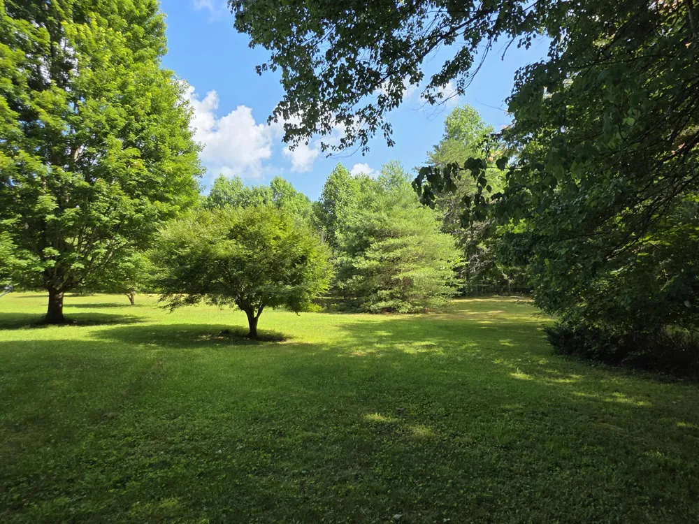 19314 S Pittsburg Mountain Road Sewanee, TN 37375
