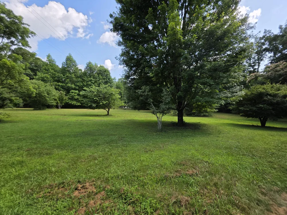 19314 S Pittsburg Mountain Road Sewanee, TN 37375