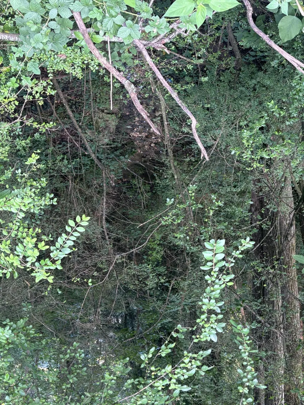 Robin Circle Rossville, GA 30741