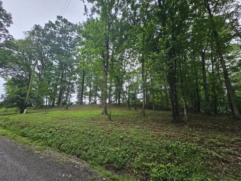 2411 Sr 56 Road