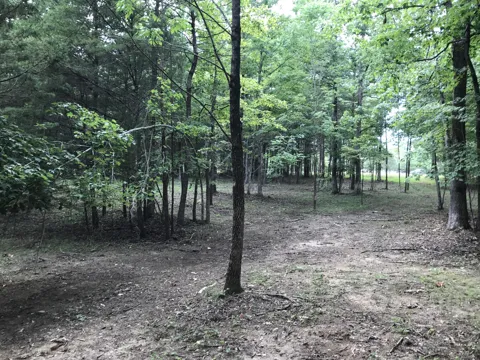 Quail Trl