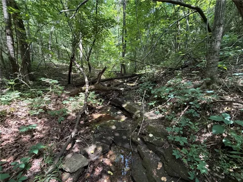 OLD HWY 7