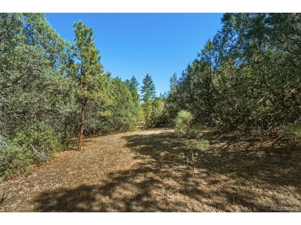 93 Blackhawk Ranch Walsenburg, CO 81089