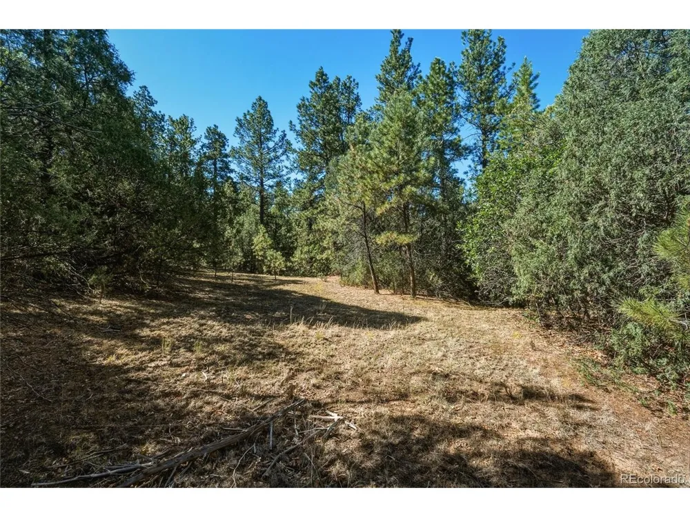 93 Blackhawk Ranch Walsenburg, CO 81089