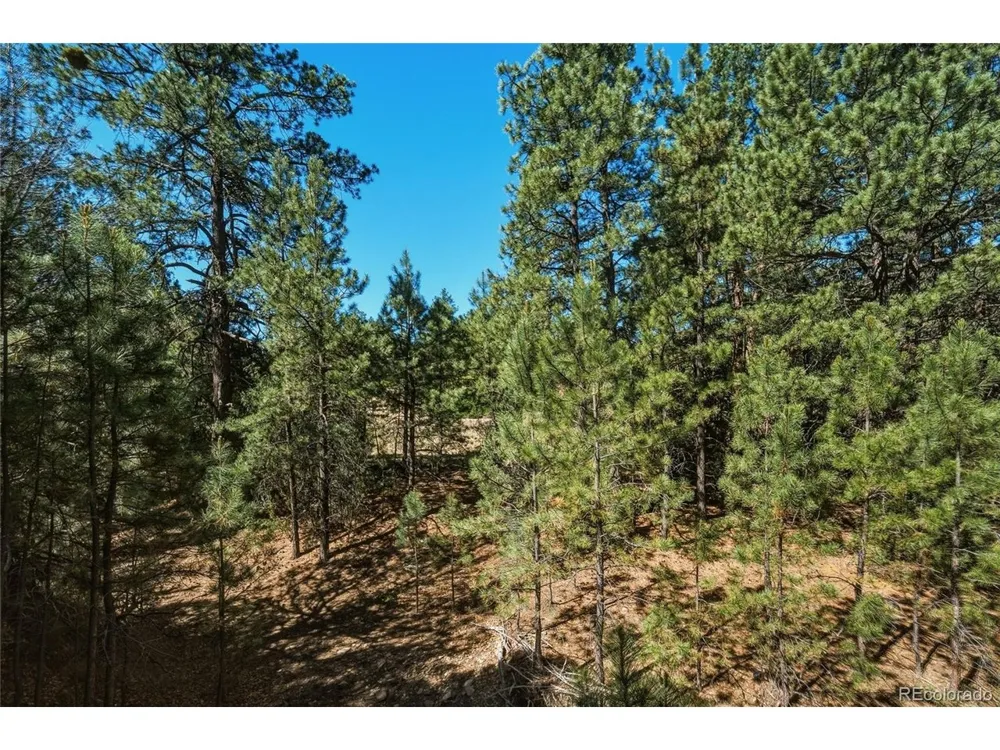 93 Blackhawk Ranch Walsenburg, CO 81089
