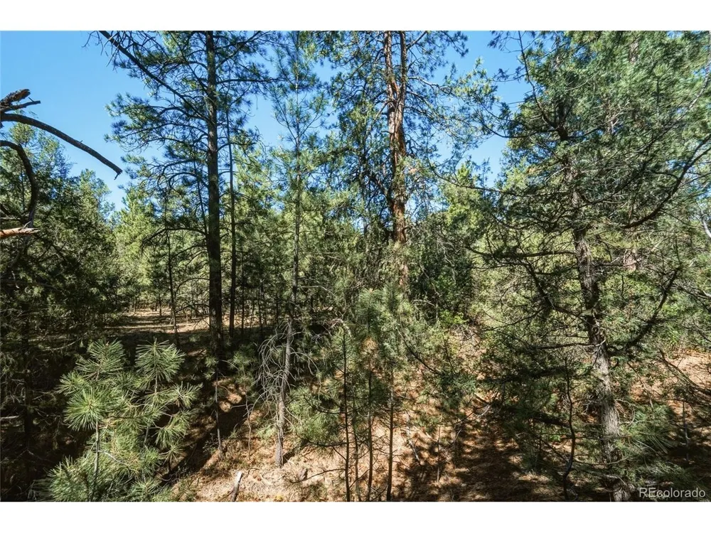 93 Blackhawk Ranch Walsenburg, CO 81089