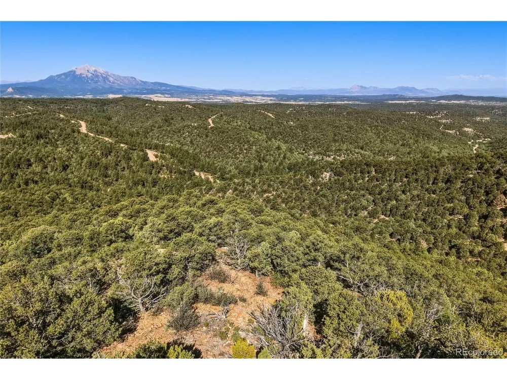 93 Blackhawk Ranch Walsenburg, CO 81089