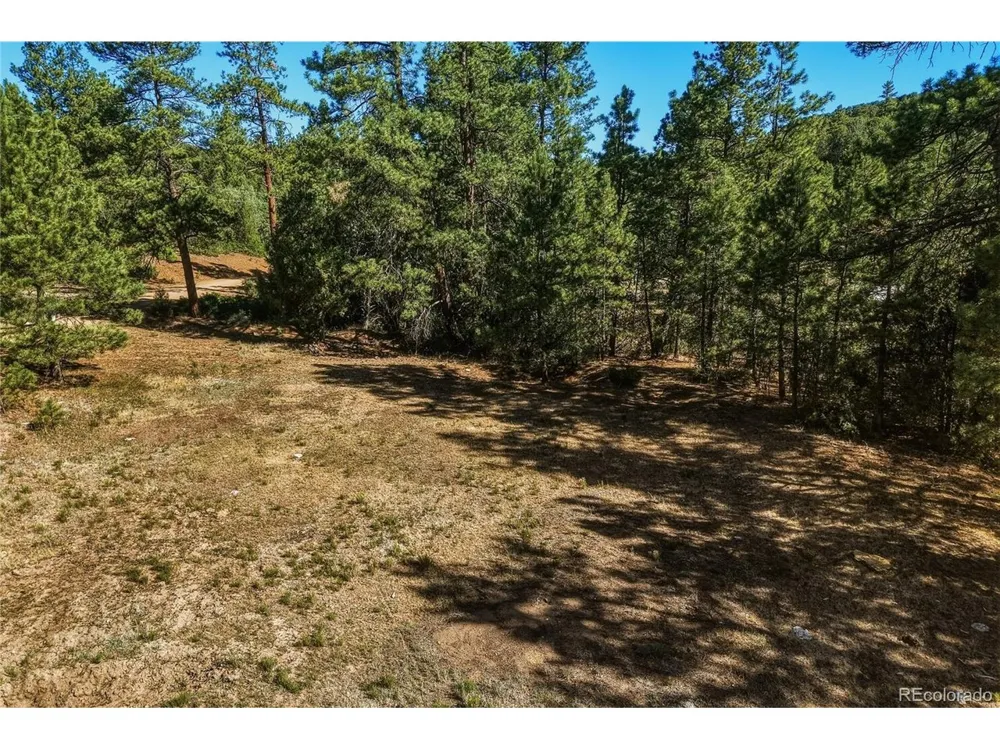 93 Blackhawk Ranch Walsenburg, CO 81089