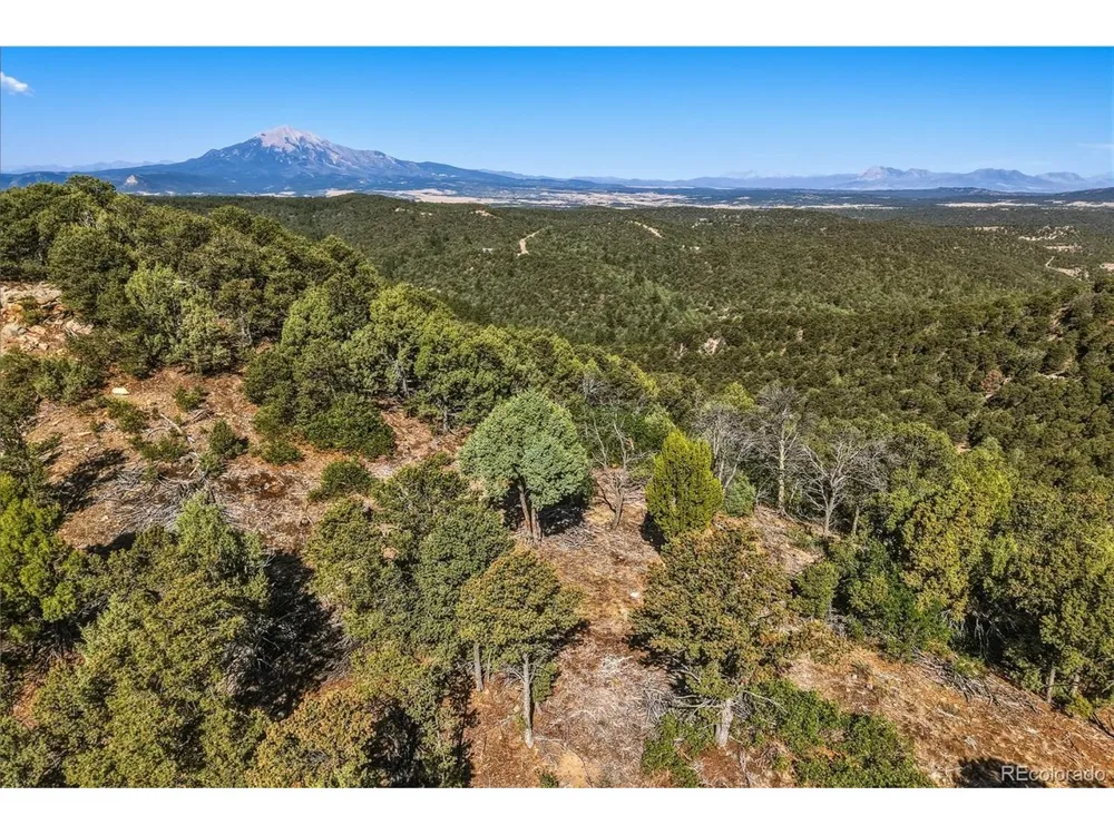93 Blackhawk Ranch Walsenburg, CO 81089
