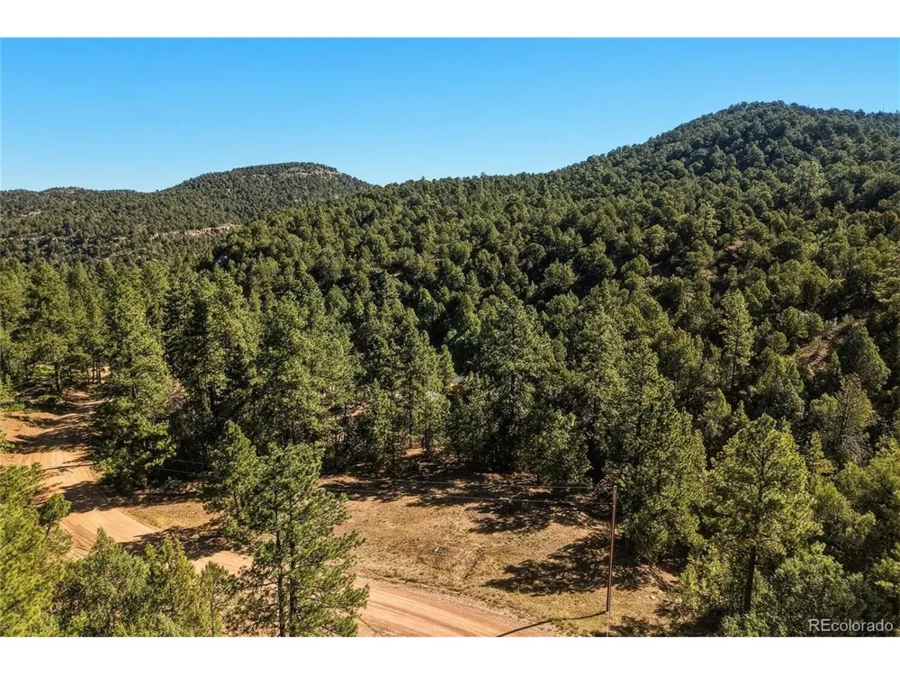 93 Blackhawk Ranch Walsenburg, CO 81089
