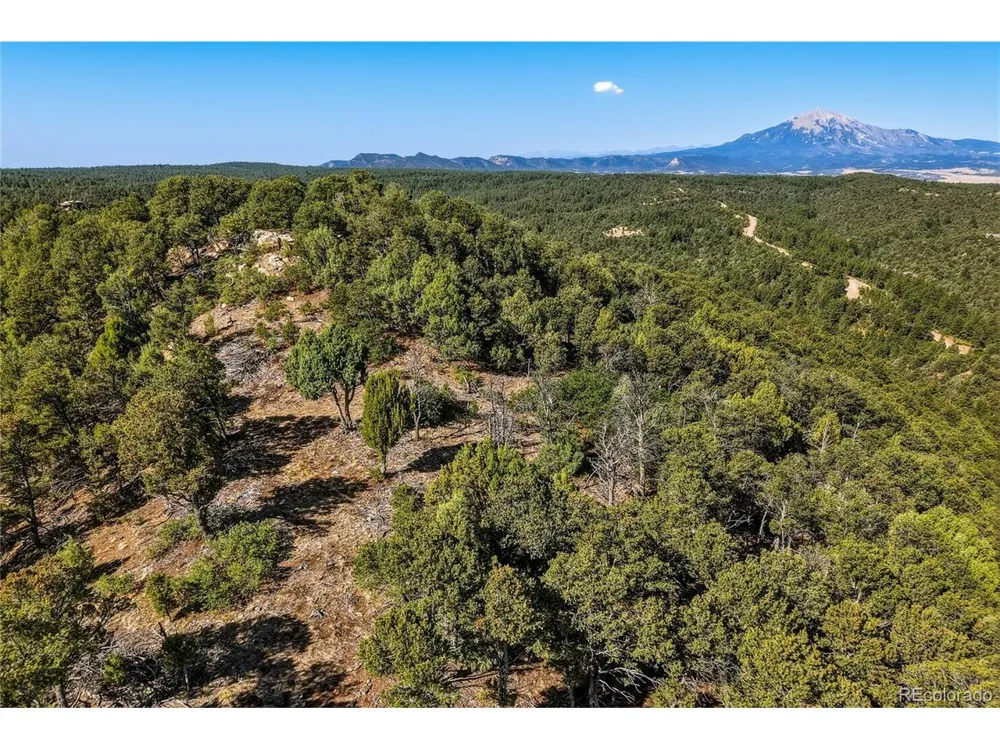 93 Blackhawk Ranch Walsenburg, CO 81089
