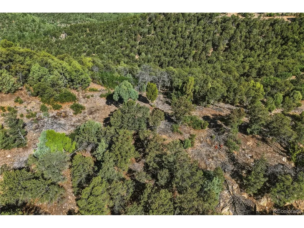 93 Blackhawk Ranch Walsenburg, CO 81089