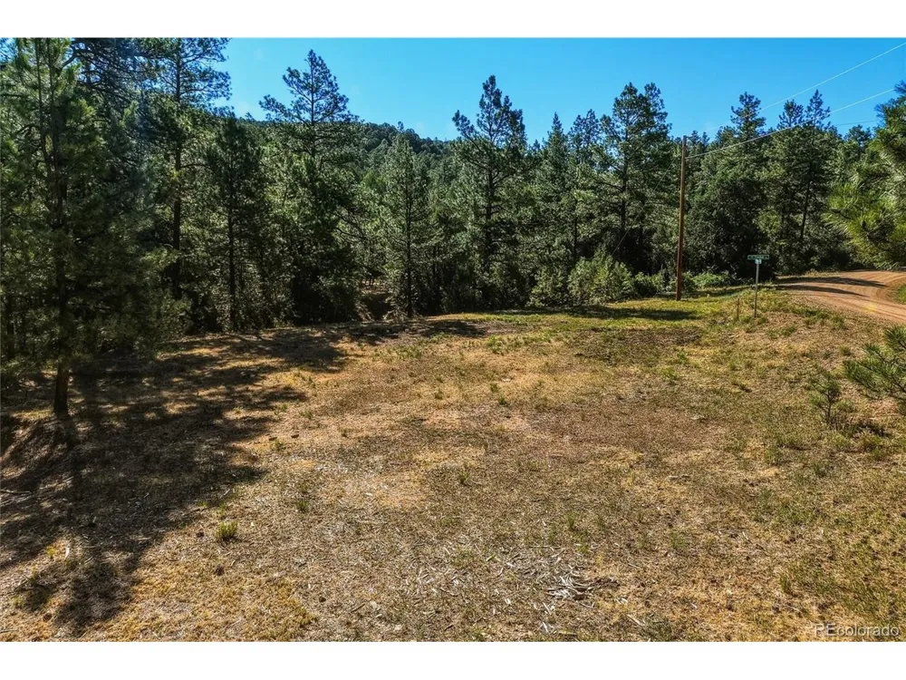 93 Blackhawk Ranch Walsenburg, CO 81089