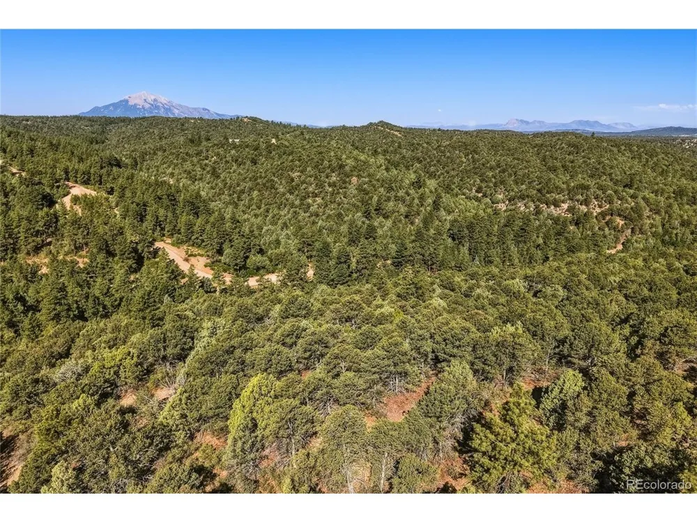 93 Blackhawk Ranch Walsenburg, CO 81089