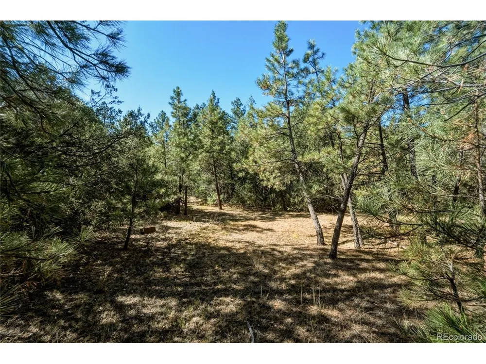 93 Blackhawk Ranch Walsenburg, CO 81089