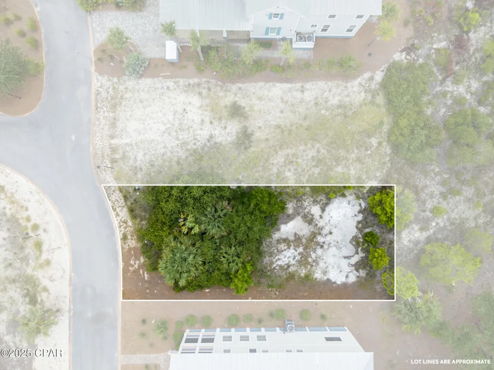 359 Cord Grass Way Cape San Blas, FL 32456