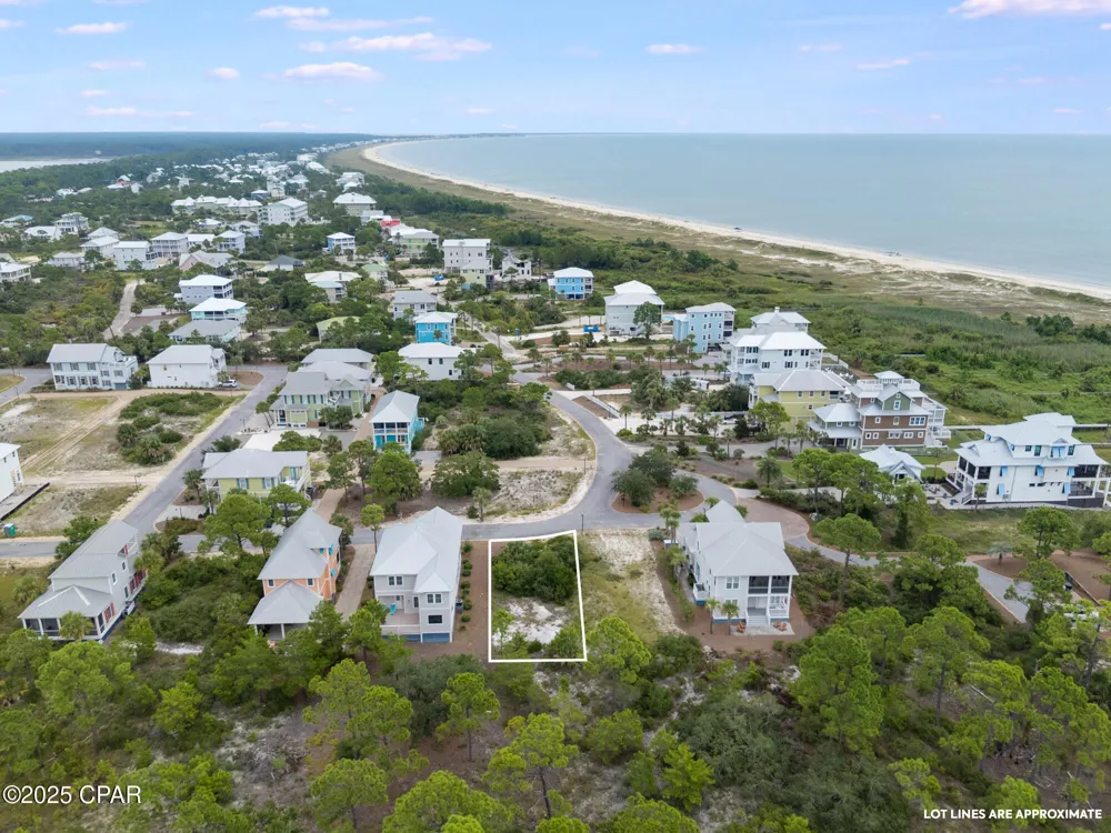 359 Cord Grass Way Cape San Blas, FL 32456