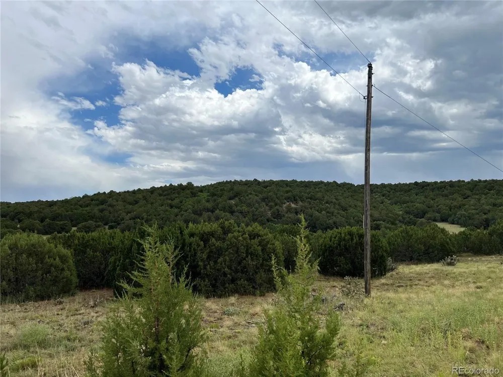 Address Not Shown Walsenburg, CO 81089