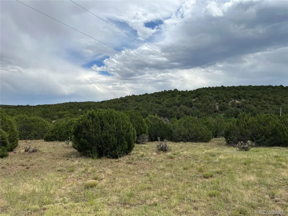 Address Not Shown Walsenburg, CO 81089