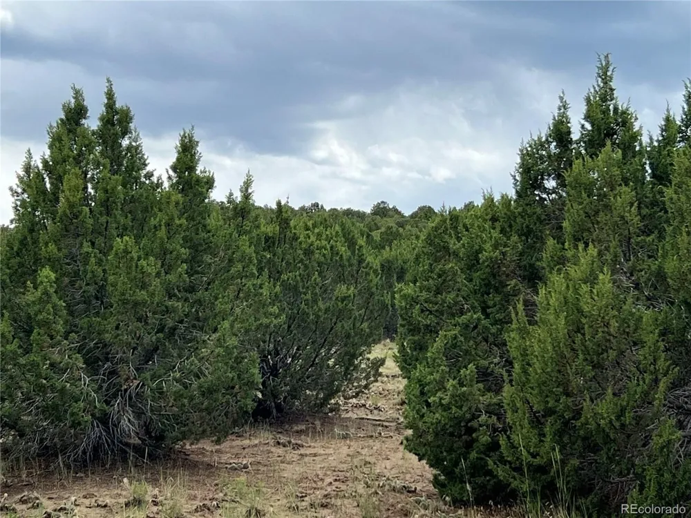 Address Not Shown Walsenburg, CO 81089