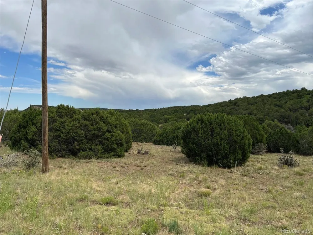 Address Not Shown Walsenburg, CO 81089