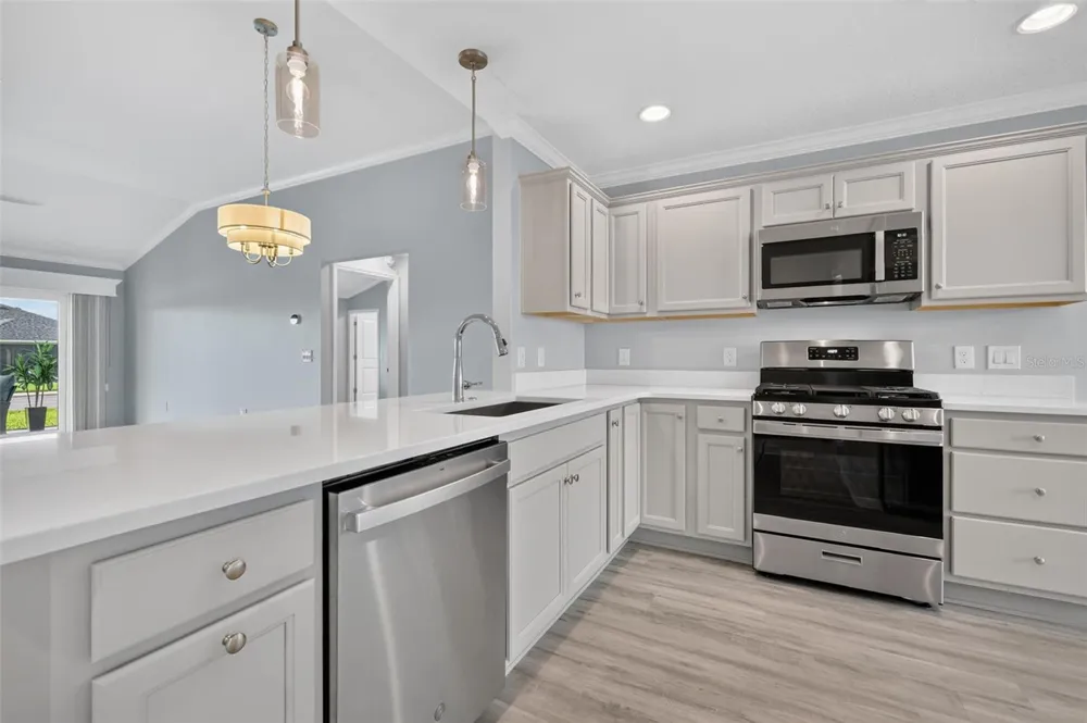 1742 JAMES GRAY STREET The Villages, FL 34762