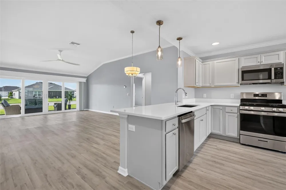 1742 JAMES GRAY STREET The Villages, FL 34762