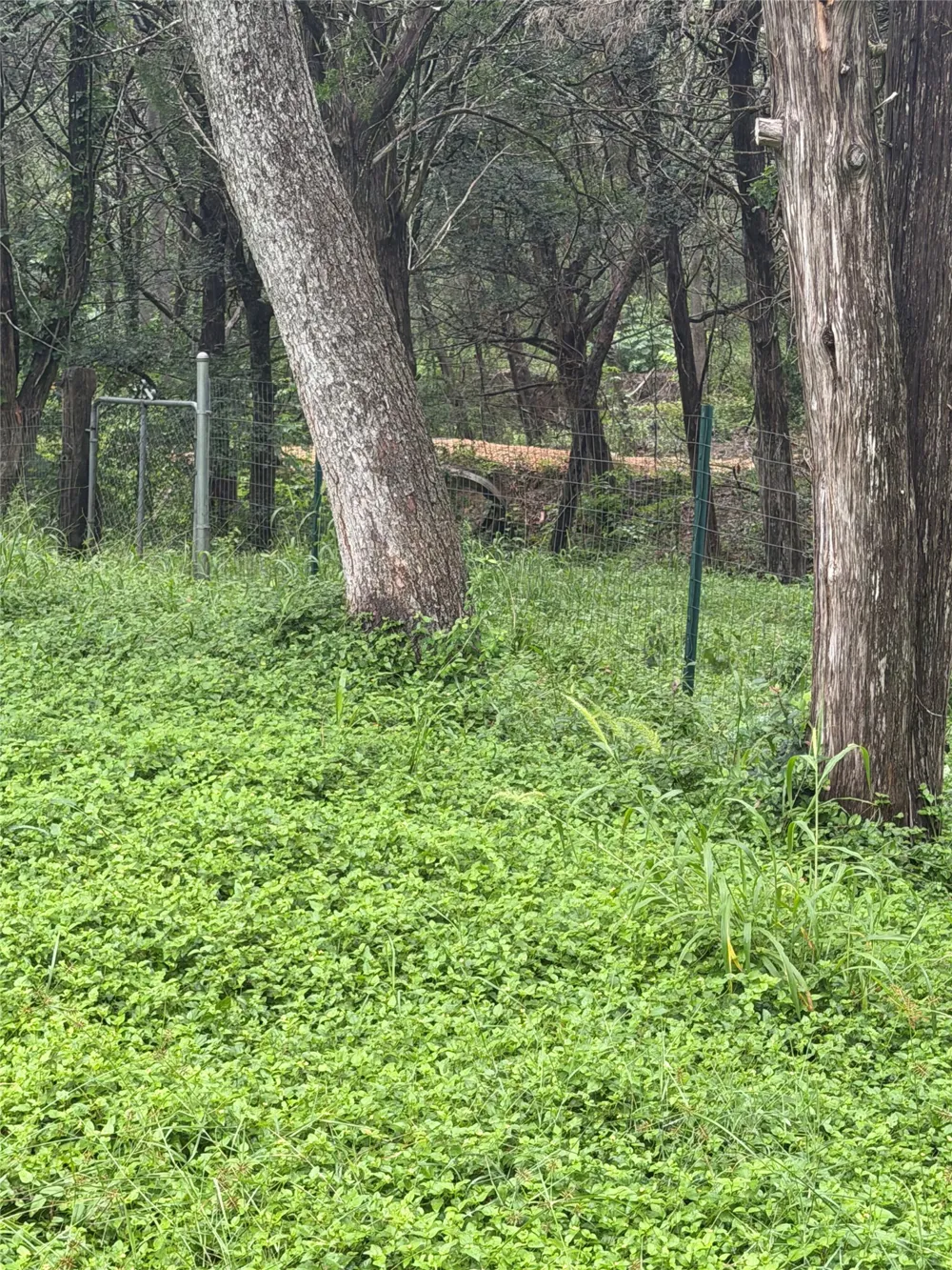 214 The Forest Road Dale, TX 78616