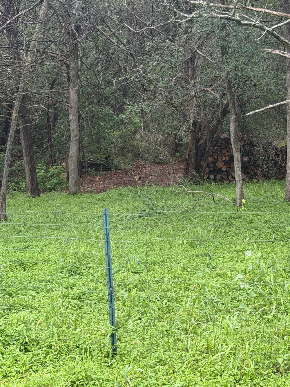 214 The Forest Road Dale, TX 78616