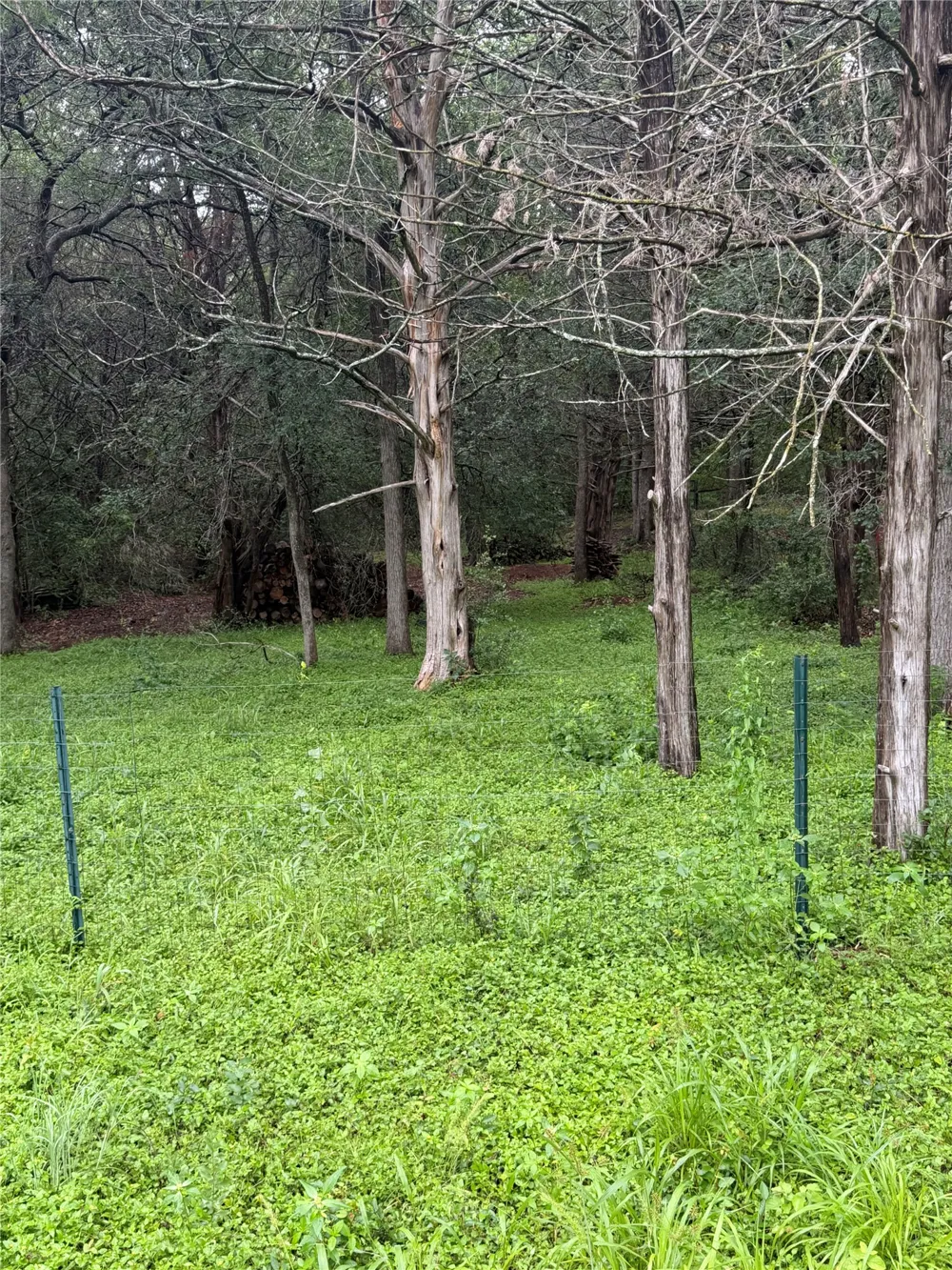 214 The Forest Road Dale, TX 78616