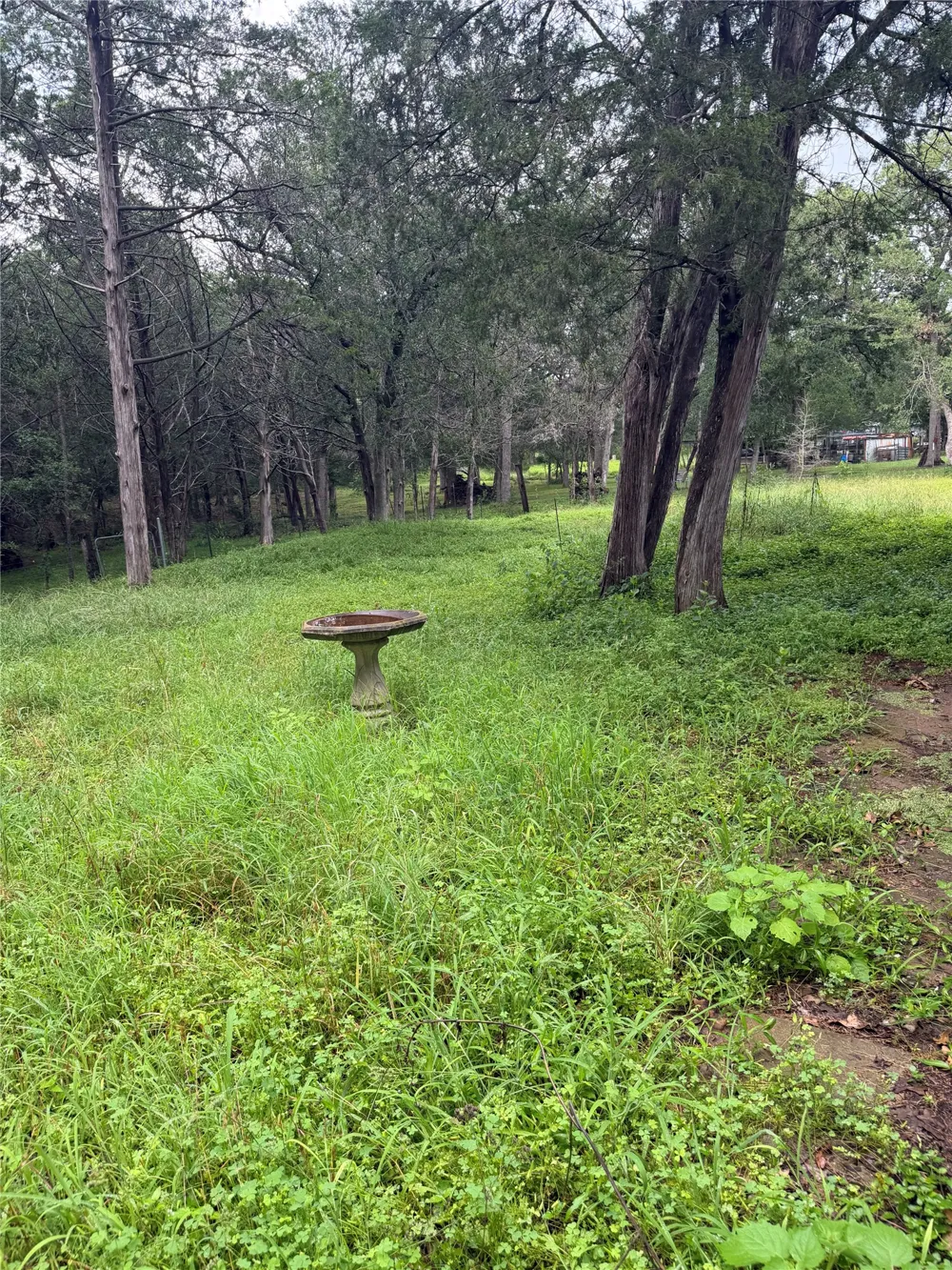 214 The Forest Road Dale, TX 78616