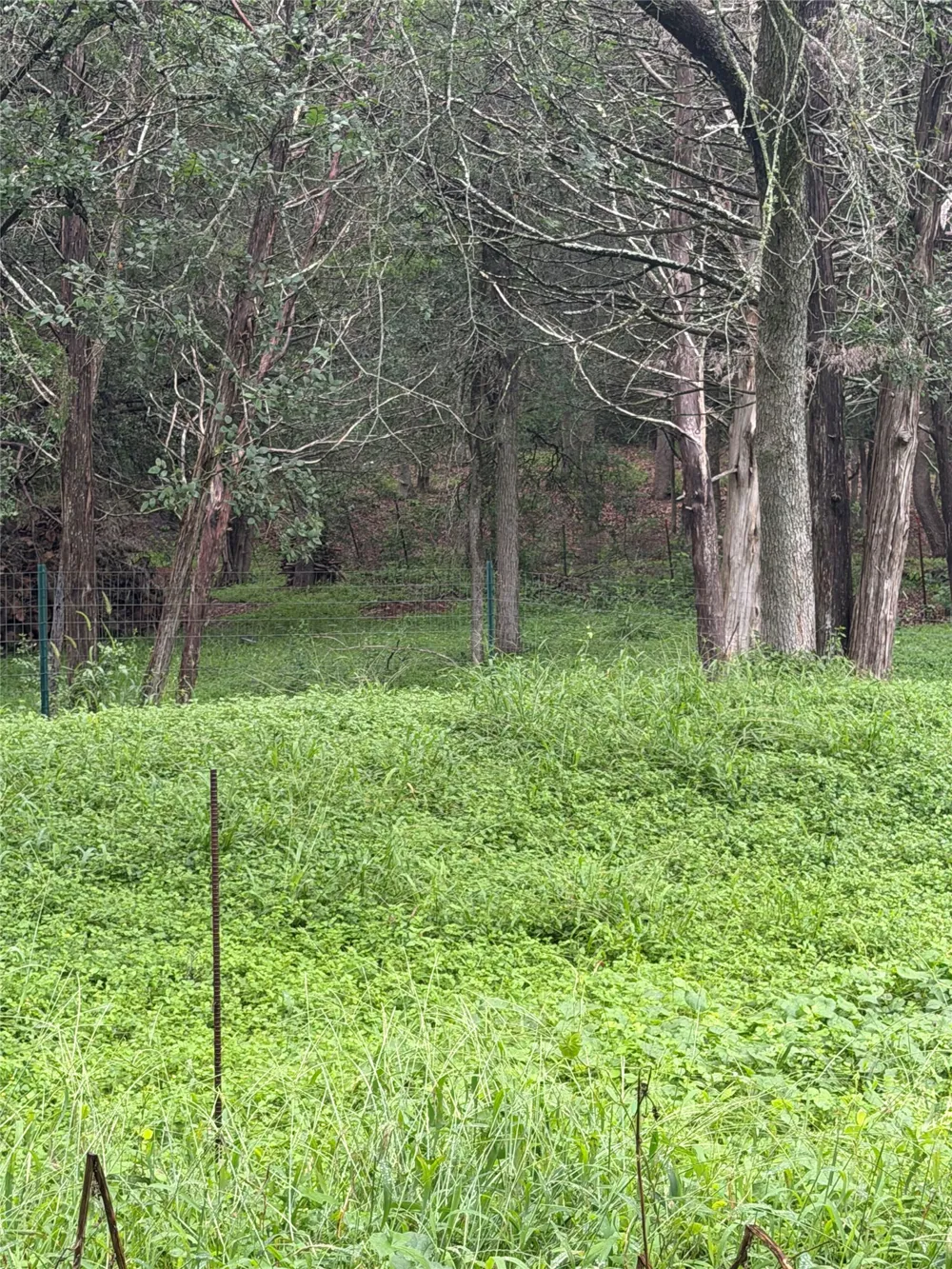 214 The Forest Road Dale, TX 78616