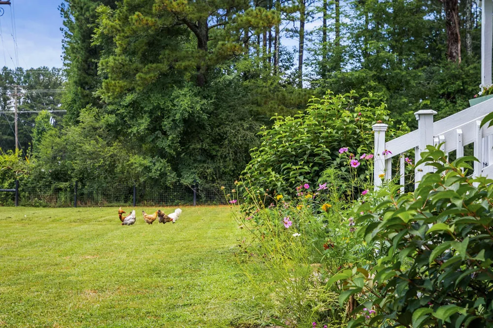 3372 Lake Kathy Road Tunnel Hill, GA 30755