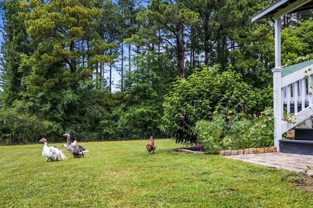 3372 Lake Kathy Road Tunnel Hill, GA 30755