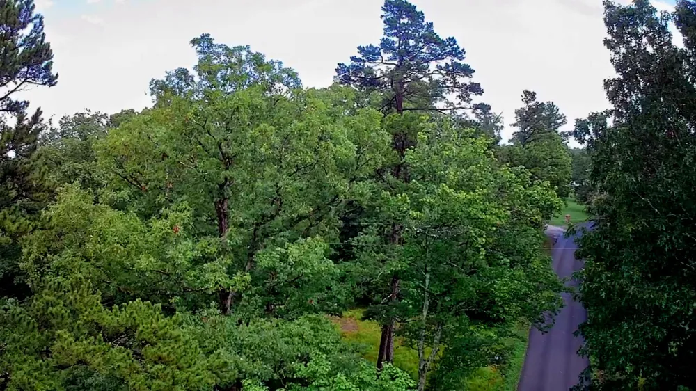 381 Patton School Road South Pittsburg, TN 37380