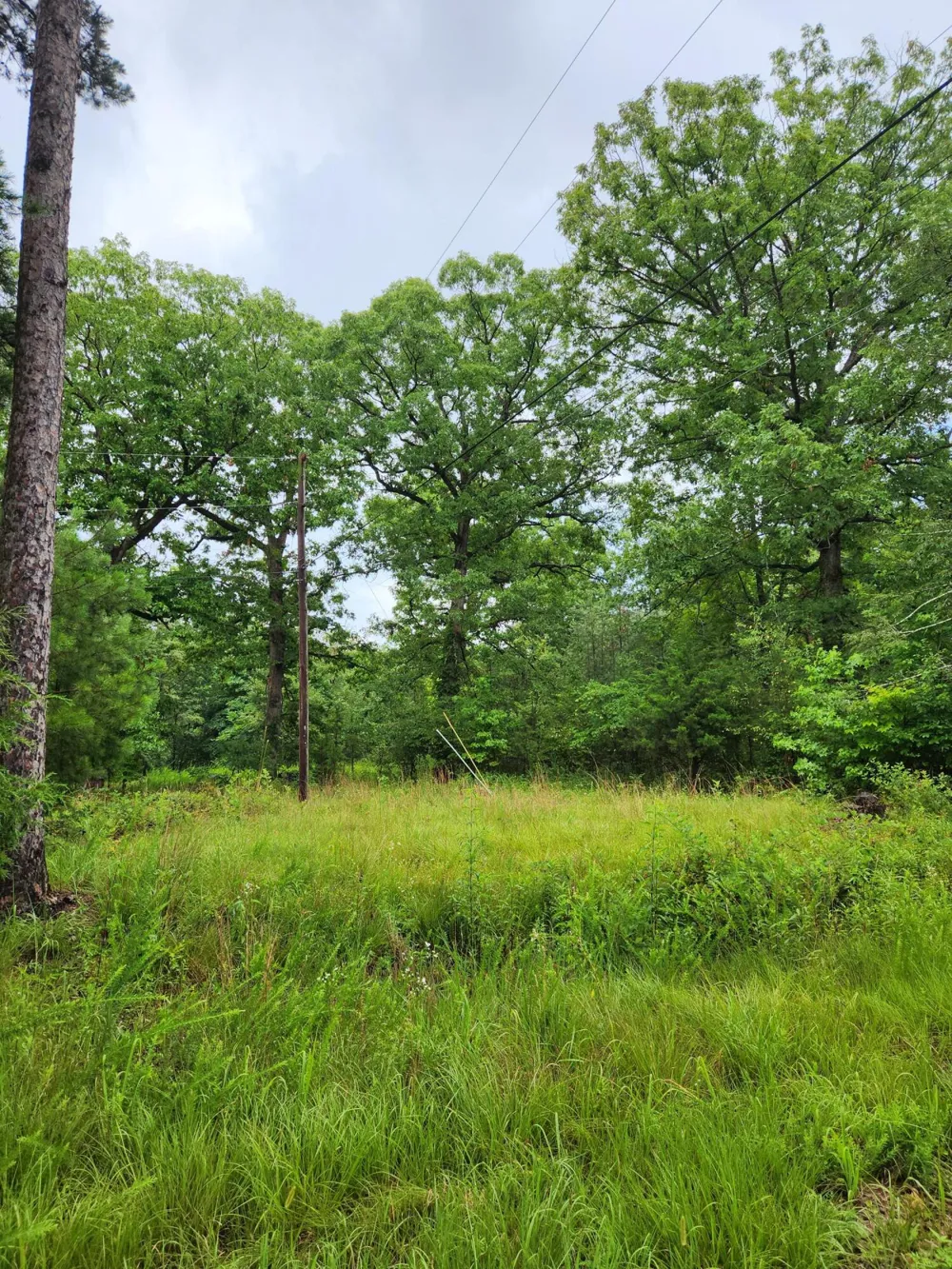 381 Patton School Road South Pittsburg, TN 37380