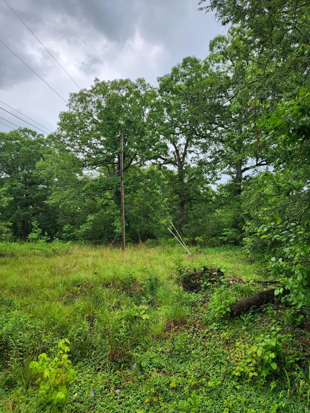381 Patton School Road South Pittsburg, TN 37380