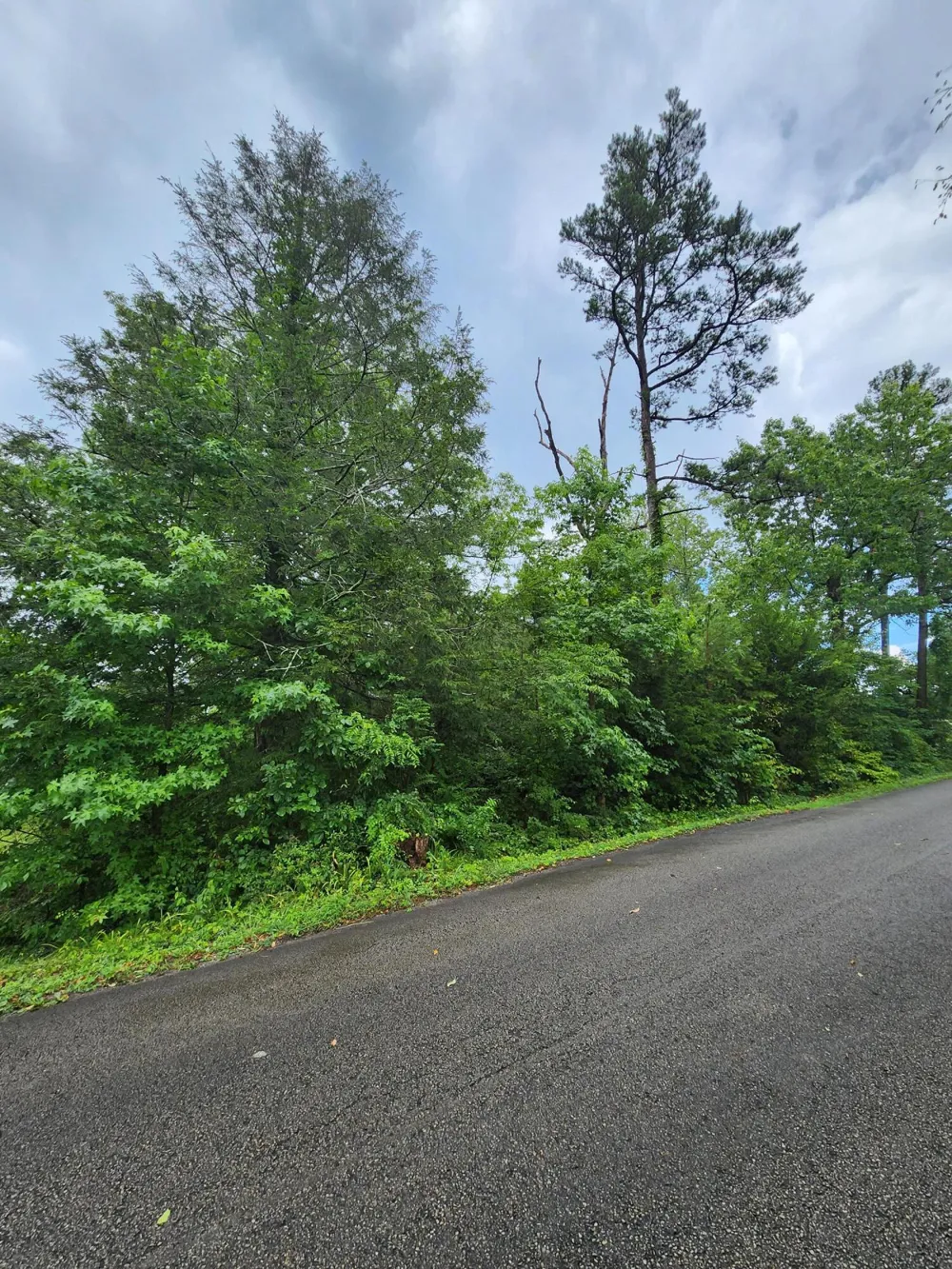 381 Patton School Road South Pittsburg, TN 37380
