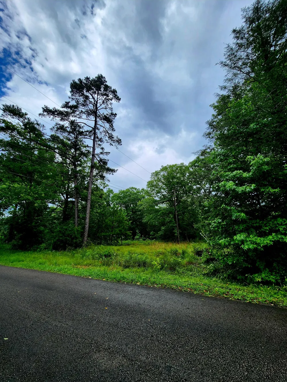 3 Patton School Road South Pittsburg, TN 37380