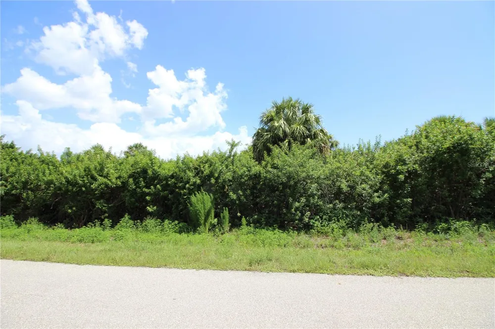 26351 BROOKS ROAD Punta Gorda, FL 33955