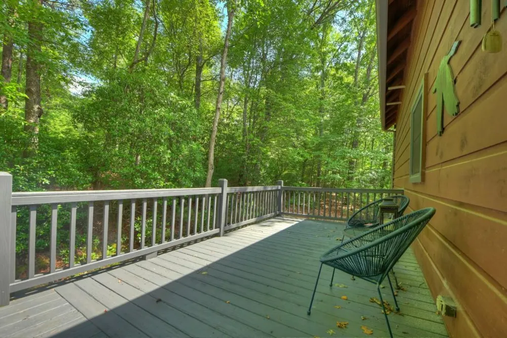 160 Adams Circle Mineral Bluff, GA 30559