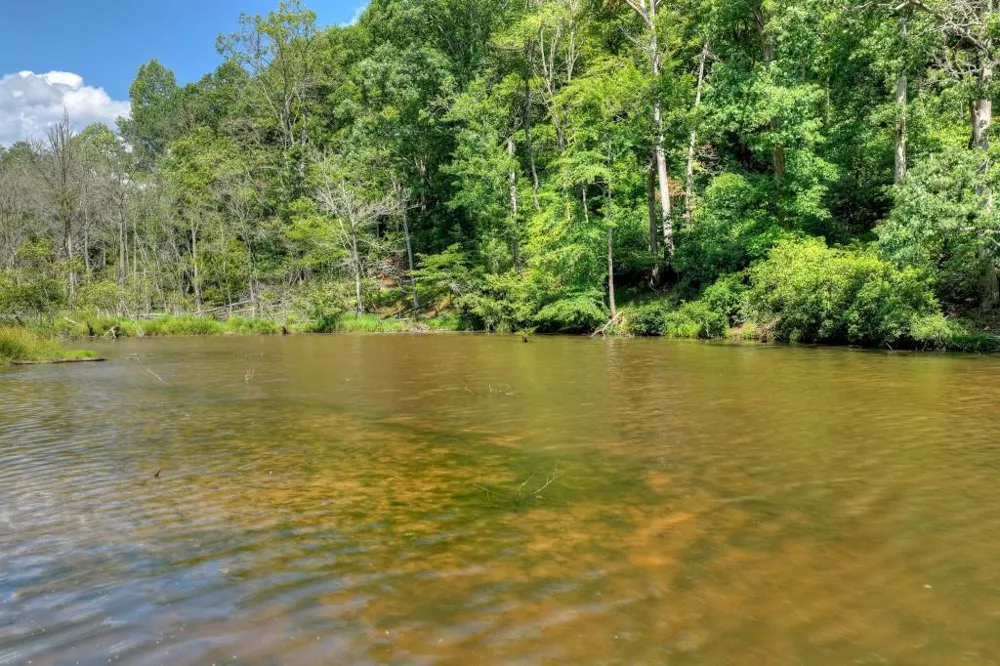 160 Adams Circle Mineral Bluff, GA 30559