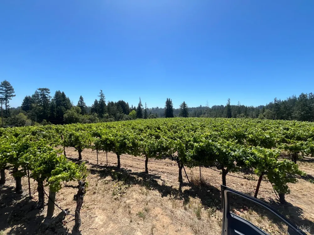 11480 Graton Road Sebastopol, CA 95472